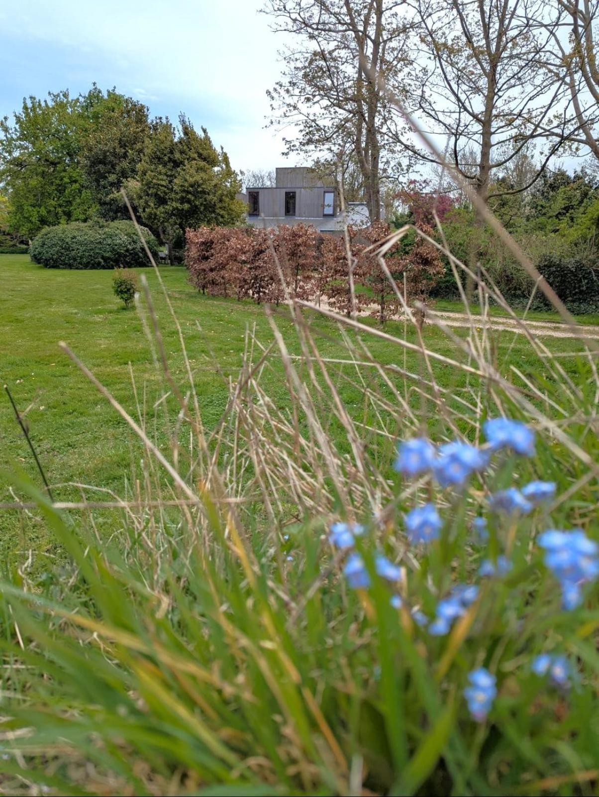 Unique & Rural Child Friendly Annexe With Large Gardens, Games & Tennis Court - Chichester Holiday Properties Εξωτερικό φωτογραφία